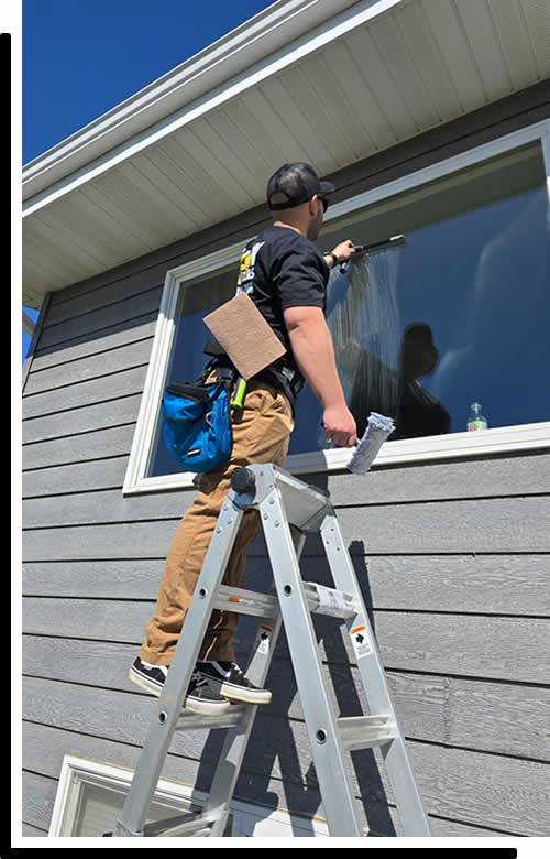 Local Window Cleaning Company