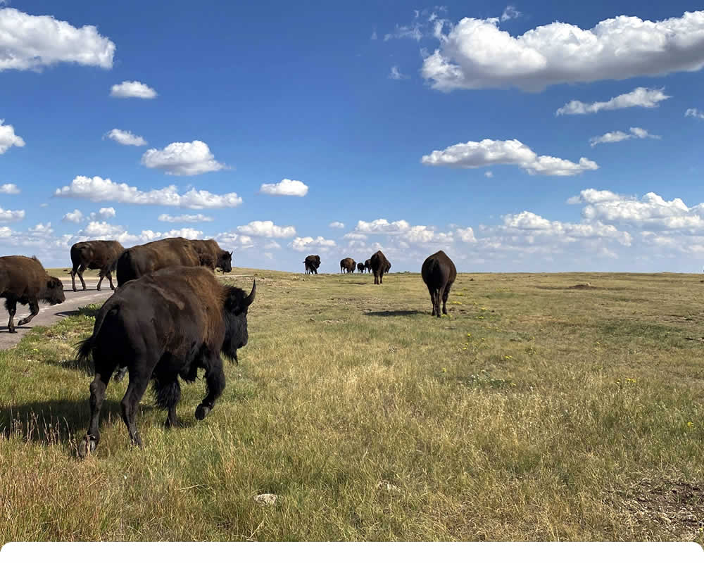 North Dakota Service Areas ND